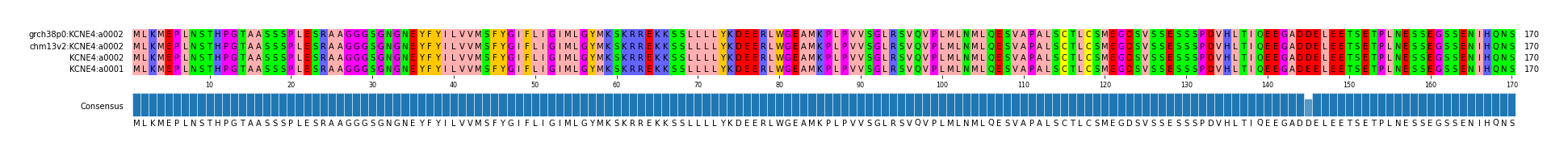 Multiple Alignments (by translate haplotype similarity)