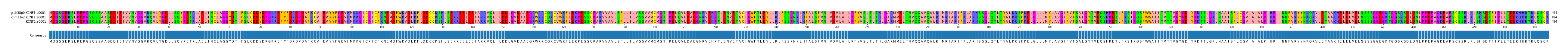 Multiple Alignments (by translate haplotype similarity)