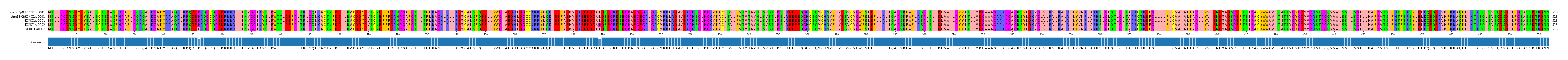 Multiple Alignments (by translate haplotype frequency)