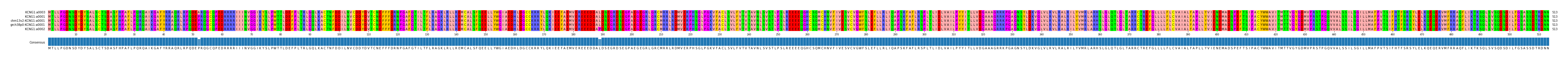Multiple Alignments (by translate haplotype similarity)