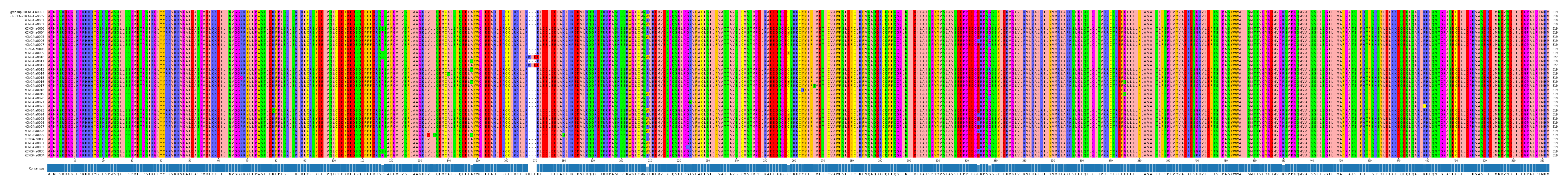 Multiple Alignments (by translate haplotype frequency)