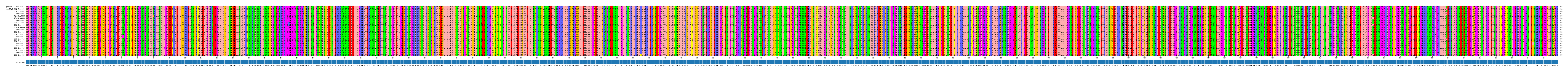 Multiple Alignments (by translate haplotype frequency)