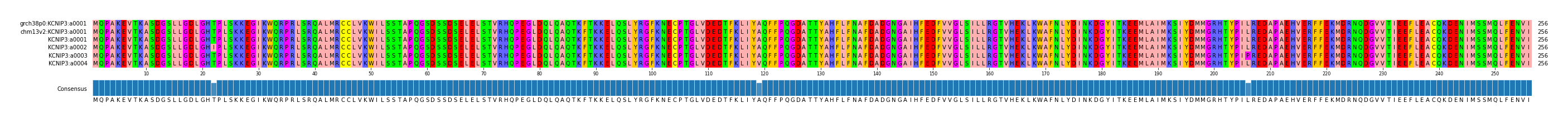 Multiple Alignments (by translate haplotype frequency)