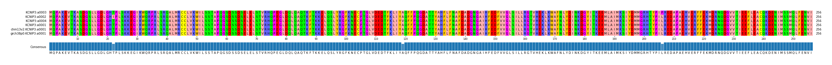 Multiple Alignments (by translate haplotype similarity)