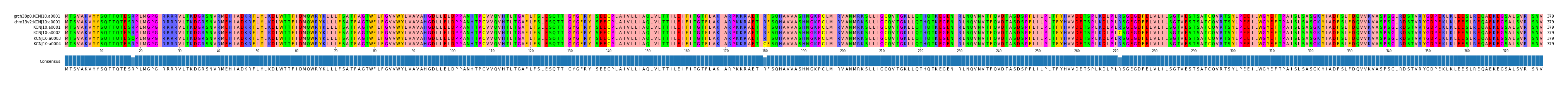 Multiple Alignments (by translate haplotype frequency)