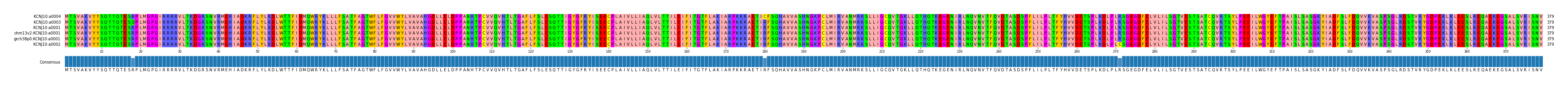 Multiple Alignments (by translate haplotype similarity)