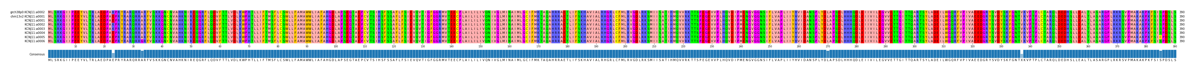 Multiple Alignments (by translate haplotype frequency)
