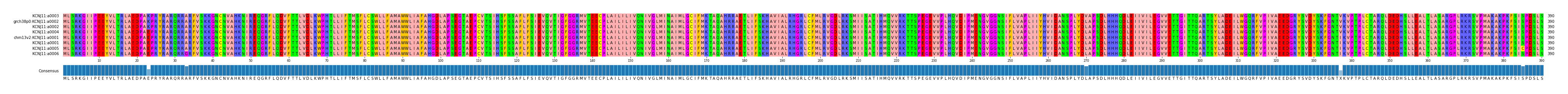 Multiple Alignments (by translate haplotype similarity)
