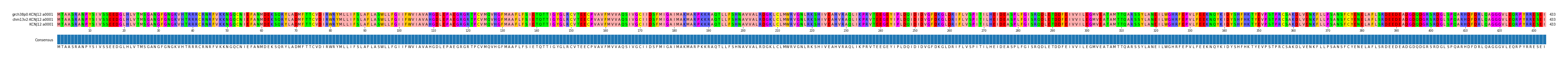 Multiple Alignments (by translate haplotype similarity)