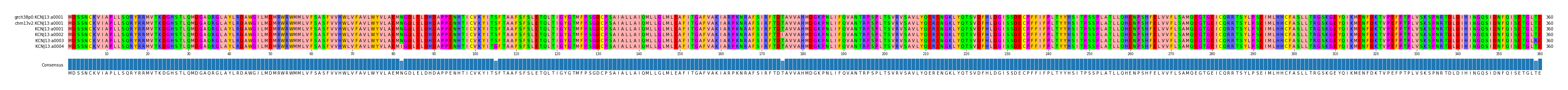 Multiple Alignments (by translate haplotype frequency)