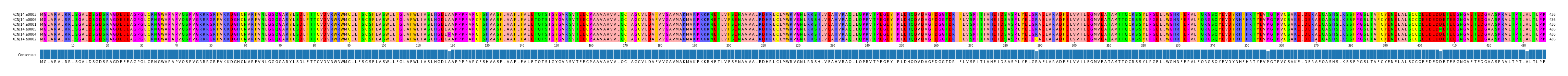 Multiple Alignments (by translate haplotype similarity)