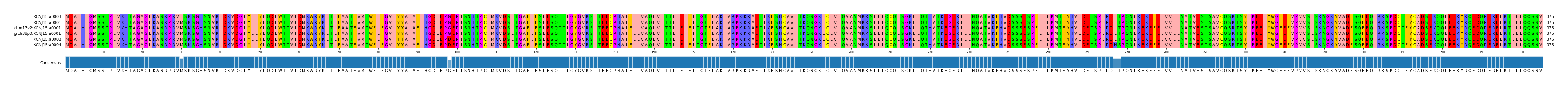 Multiple Alignments (by translate haplotype similarity)
