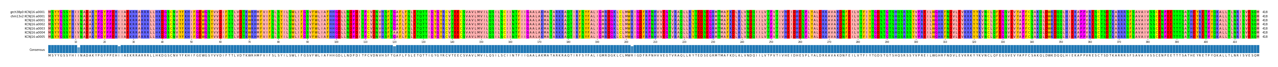 Multiple Alignments (by translate haplotype frequency)