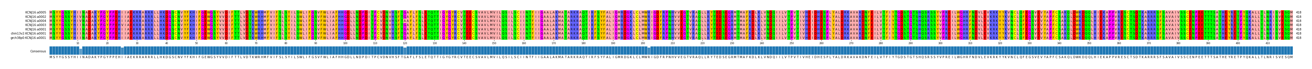 Multiple Alignments (by translate haplotype similarity)