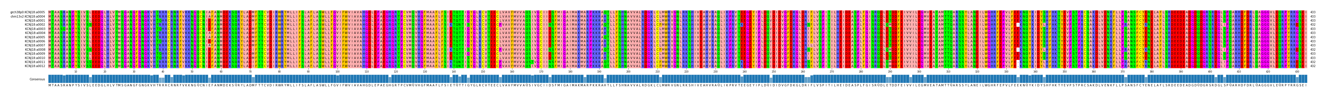 Multiple Alignments (by translate haplotype frequency)