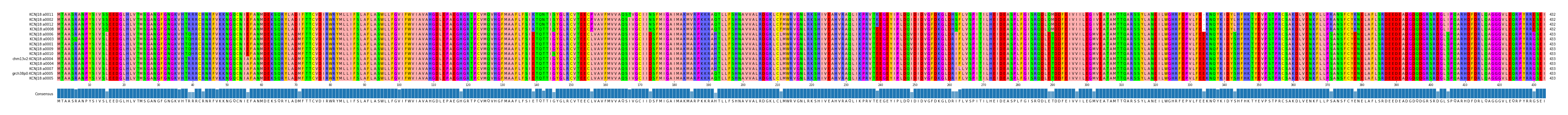 Multiple Alignments (by translate haplotype similarity)