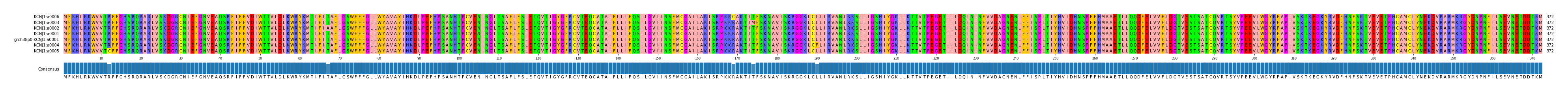 Multiple Alignments (by translate haplotype similarity)