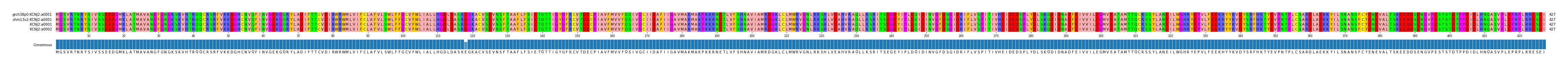 Multiple Alignments (by translate haplotype similarity)