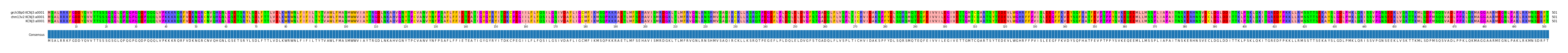 Multiple Alignments (by translate haplotype frequency)