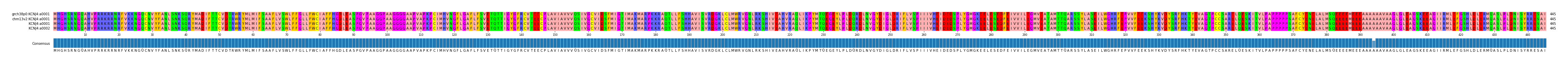 Multiple Alignments (by translate haplotype frequency)