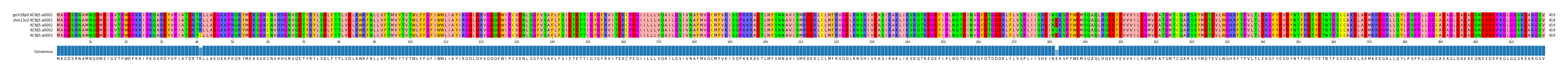 Multiple Alignments (by translate haplotype frequency)