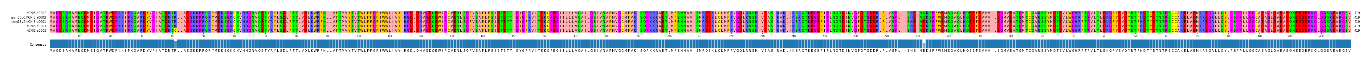 Multiple Alignments (by translate haplotype similarity)
