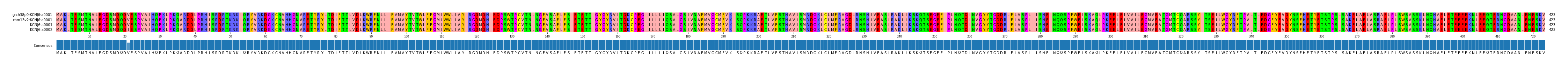 Multiple Alignments (by translate haplotype similarity)
