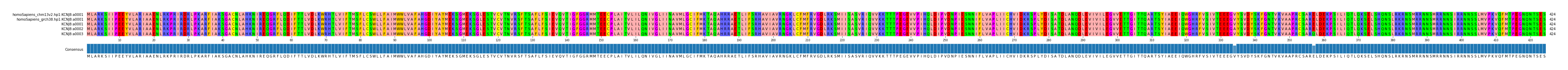 Multiple Alignments (by translate haplotype frequency)