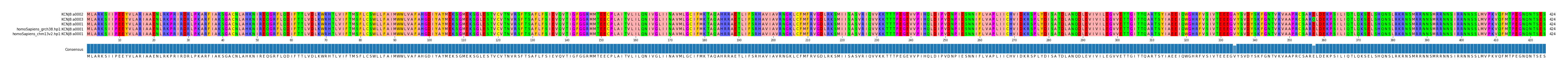 Multiple Alignments (by translate haplotype similarity)