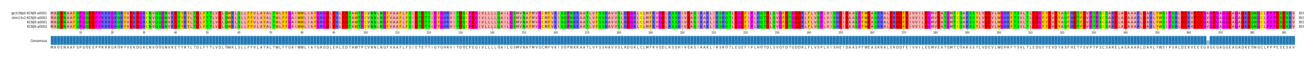 Multiple Alignments (by translate haplotype frequency)