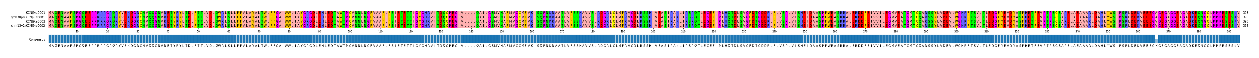 Multiple Alignments (by translate haplotype similarity)
