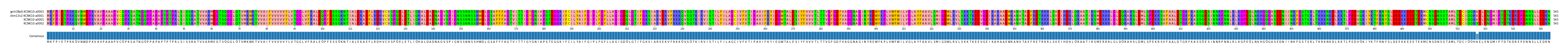 Multiple Alignments (by translate haplotype similarity)