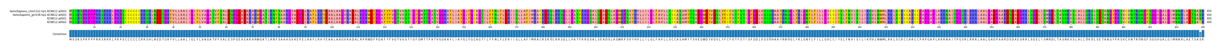 Multiple Alignments (by translate haplotype similarity)