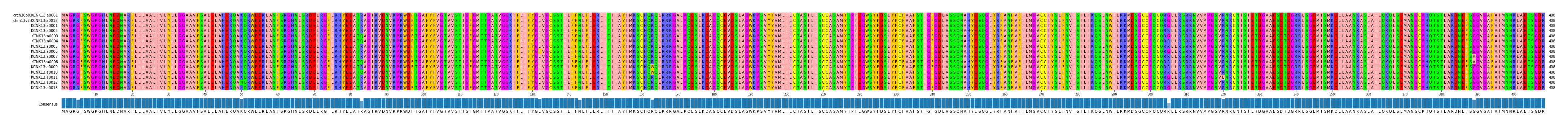 Multiple Alignments (by translate haplotype frequency)