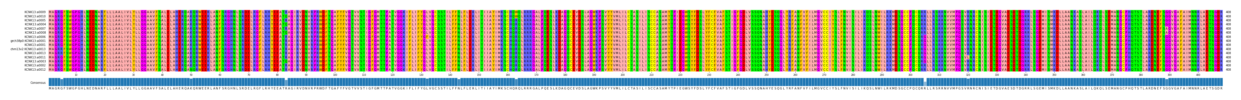 Multiple Alignments (by translate haplotype similarity)