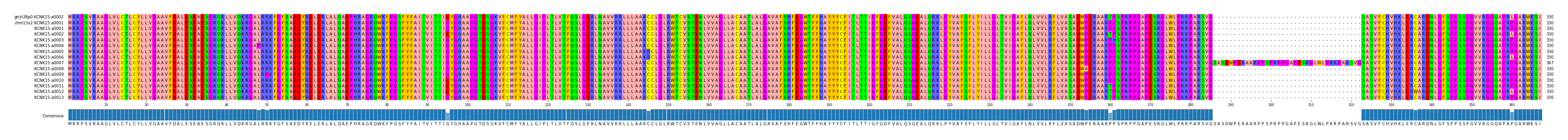 Multiple Alignments (by translate haplotype frequency)