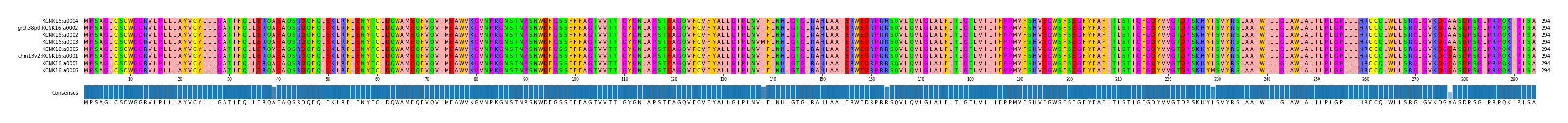 Multiple Alignments (by translate haplotype similarity)