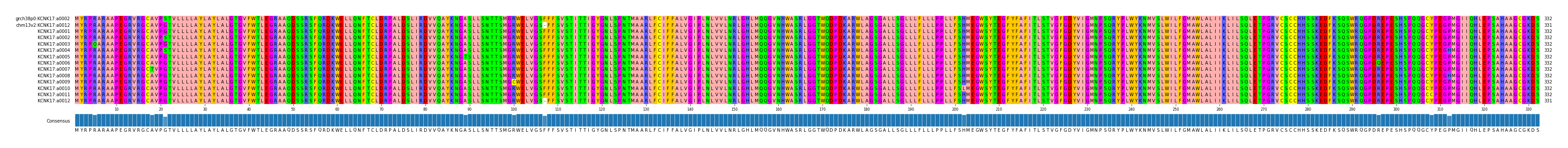 Multiple Alignments (by translate haplotype frequency)