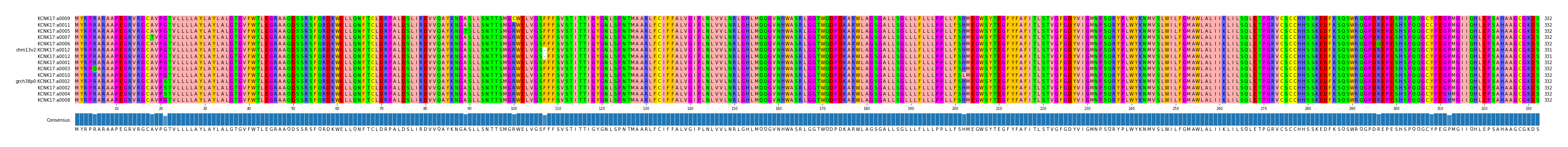 Multiple Alignments (by translate haplotype similarity)
