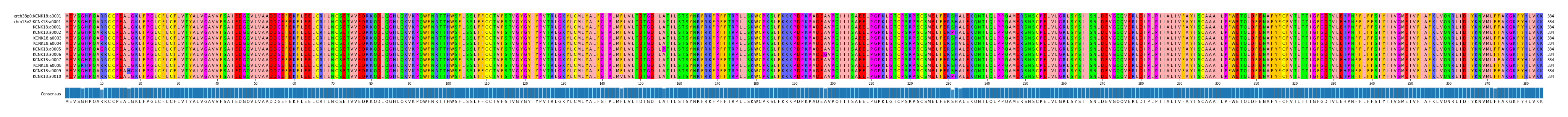Multiple Alignments (by translate haplotype frequency)