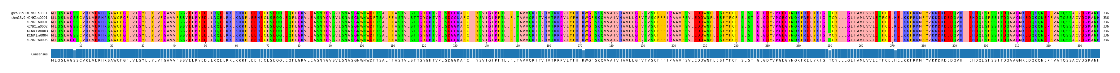 Multiple Alignments (by translate haplotype frequency)
