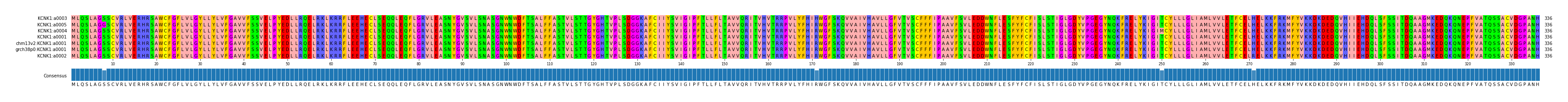 Multiple Alignments (by translate haplotype similarity)
