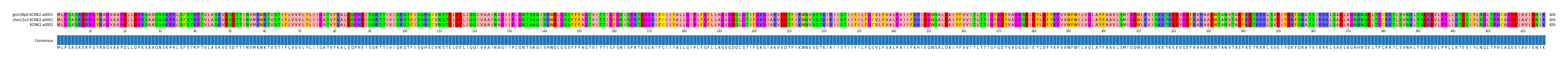 Multiple Alignments (by translate haplotype similarity)
