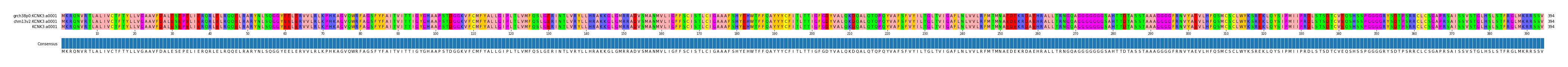 Multiple Alignments (by translate haplotype similarity)