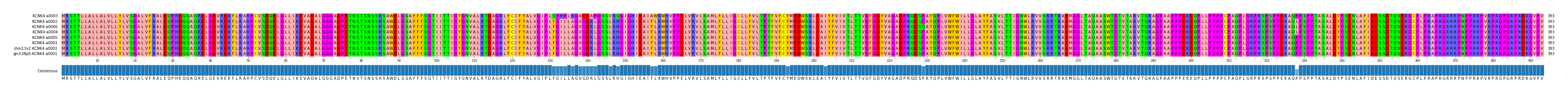 Multiple Alignments (by translate haplotype similarity)