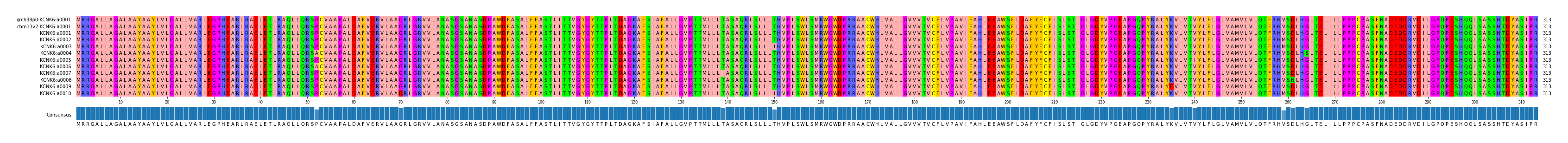 Multiple Alignments (by translate haplotype frequency)