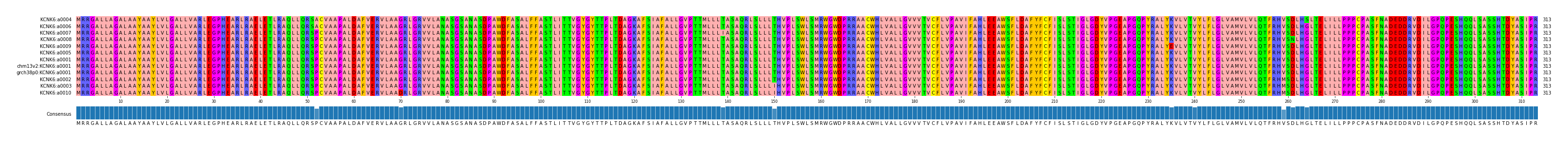 Multiple Alignments (by translate haplotype similarity)