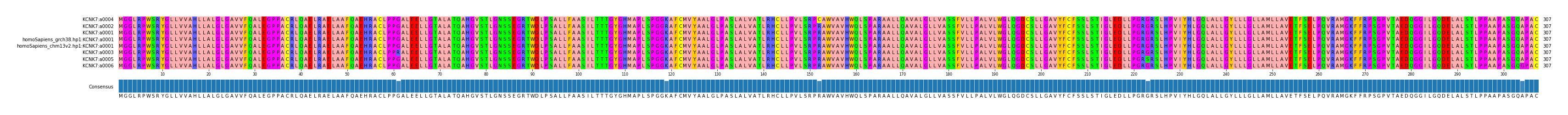 Multiple Alignments (by translate haplotype similarity)