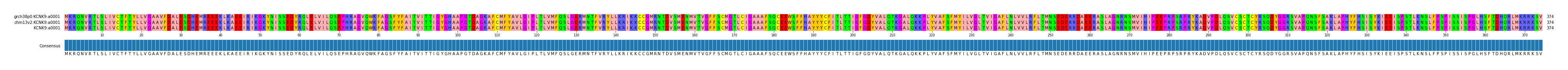 Multiple Alignments (by translate haplotype similarity)