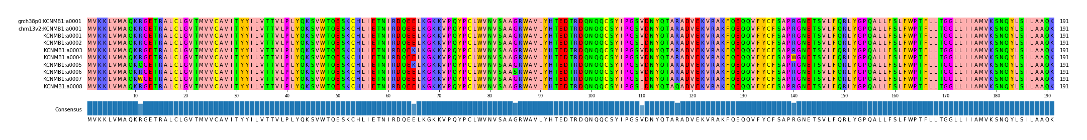 Multiple Alignments (by translate haplotype frequency)